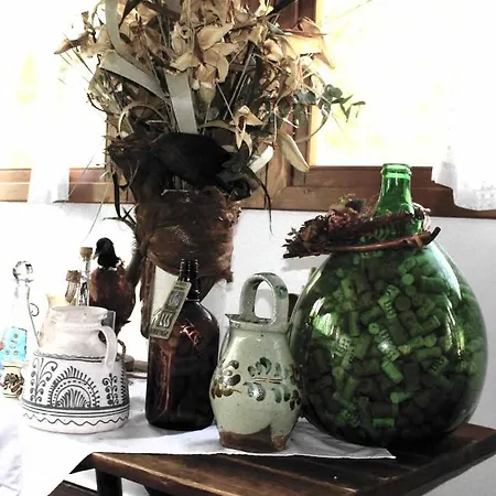 Tassi Halaszcsarda - Sueger Haz